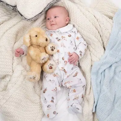 Wrendale Little Paws Patterned Dog Babygrow