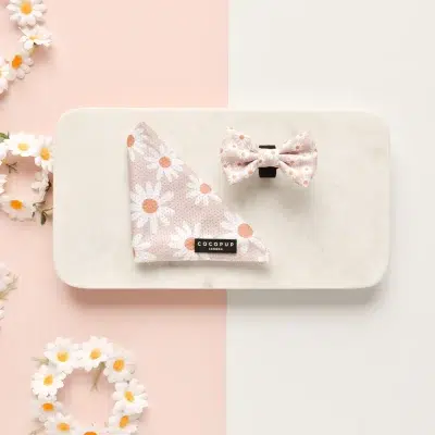 Cocopup Daisy Chain Bow Tie with bandana