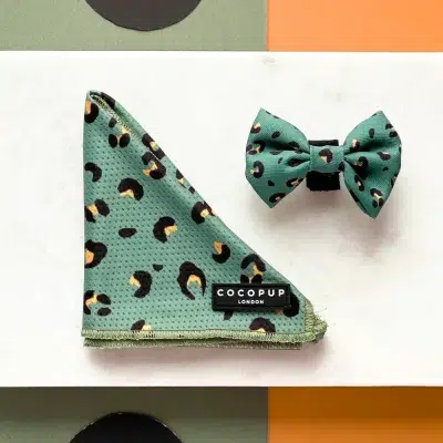 Cocopup Bandana - Khaki Leopard