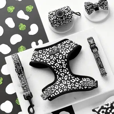 Cocopup Dog Collar - Black Leopard collection