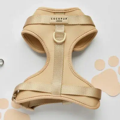 Cocopup Harness - NAKD Adjustable Neck Biscuit