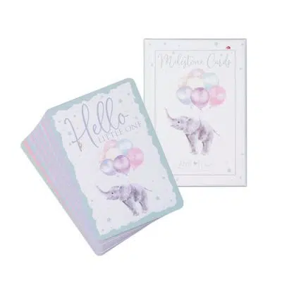 Wrendale Little Wren Baby Milestone Cards