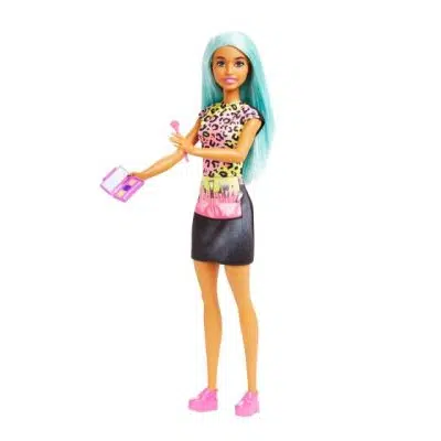 Barbie Career Doll Assortment