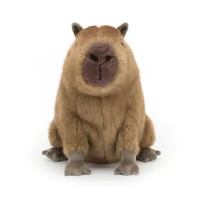 Jellycat Clyde Capybara front