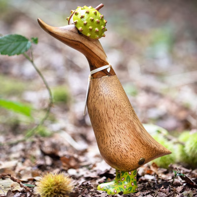D3WOOD1 DCUK Woodland duckling conker hat