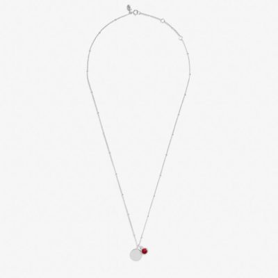 Joma Jewellery Sterling Silver Birthstone A Little 'January' Necklace jjs0070 hero photo