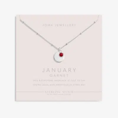 Joma Jewellery Sterling Silver Birthstone A Little 'January' Necklace on card