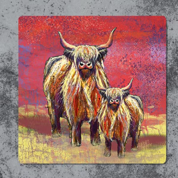highland cow