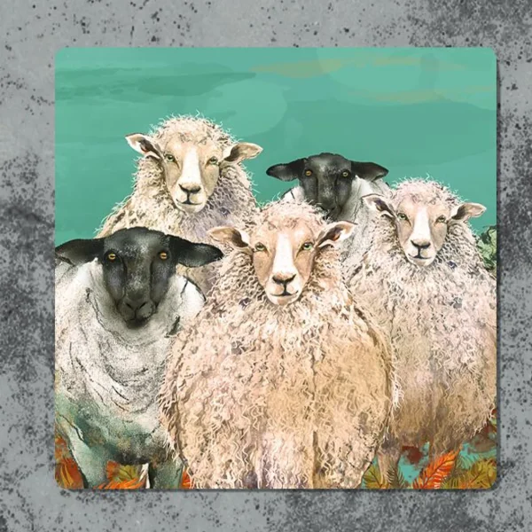 Sheep coaster
