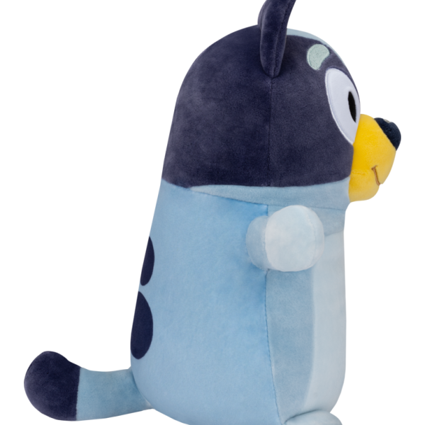 bluey