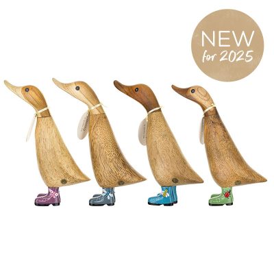 dcuk Duckling Bug Boots - Assorted