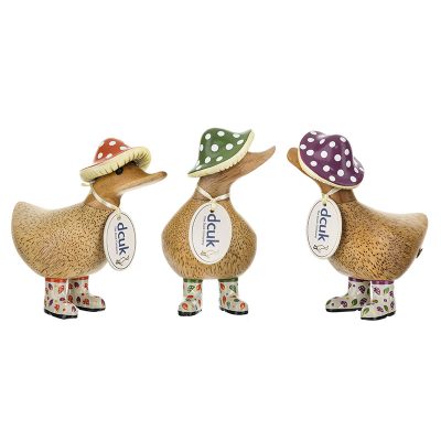 dcuk Duckys – Fungi Friends