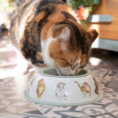 Wrendale Small Cat Bowl