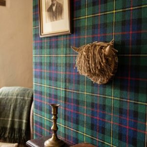 Ailsa Mini Jute tartan